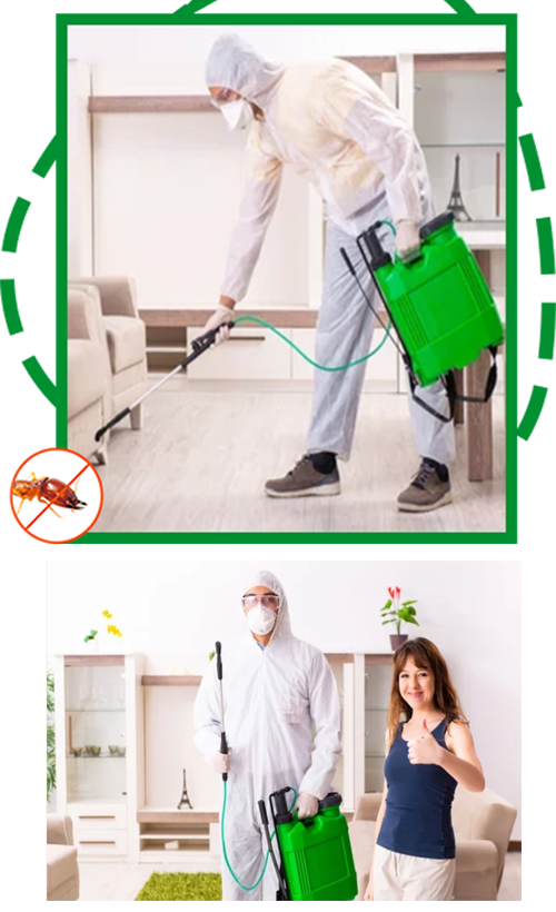 GoGreenExterminator Brooklyn QueensNY Exterminator