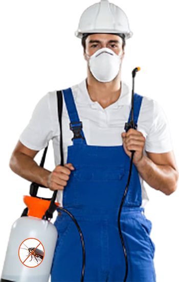 Mineola NY Exterminator pest control